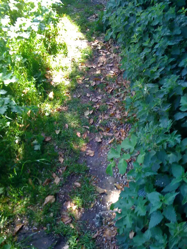 path Ready to go